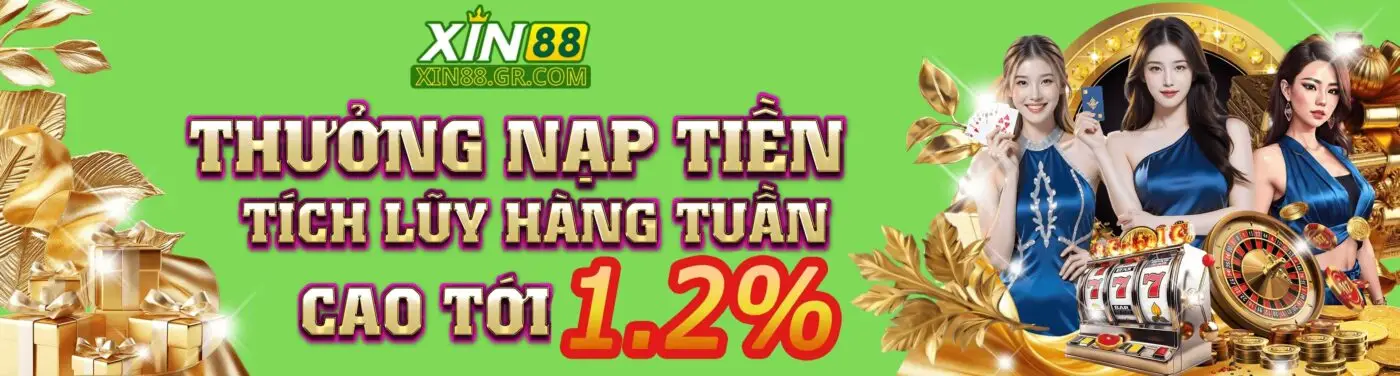 banner-xin88