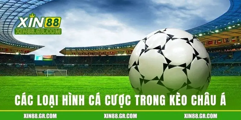 Các loại hình đặt cược hấp dẫn trong bóng đá