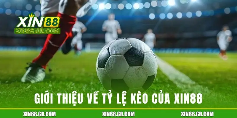 Giới thiệu tổng quan về tỷ lệ kèo của XIN88